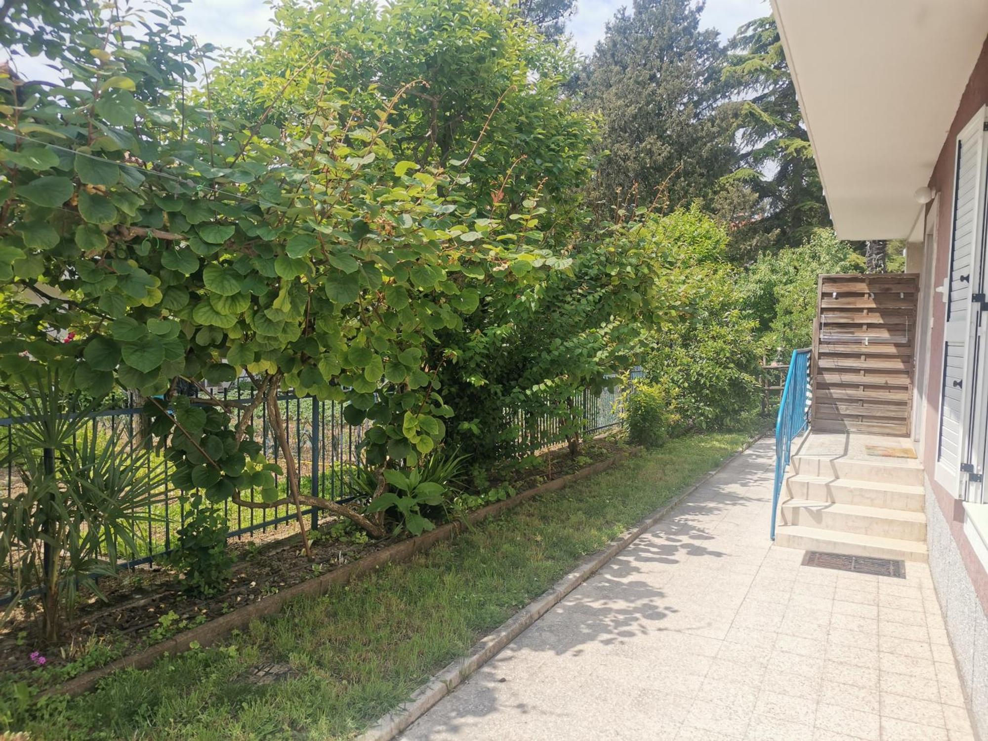 Pri Noni "Istracycle" Apartment Lucija Exterior photo